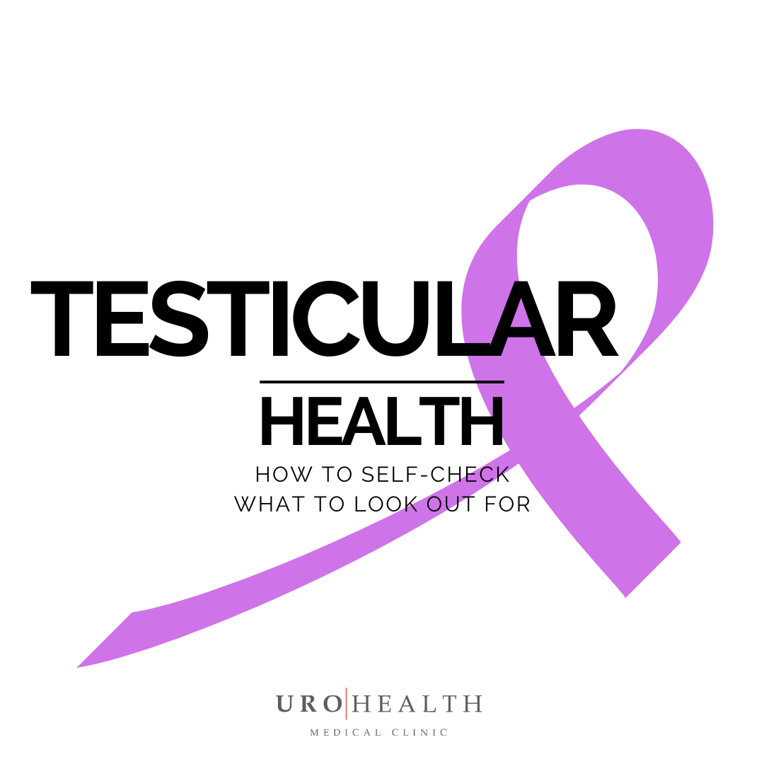 Read more about the article Testicular Health 101